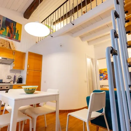 Nice Boboli's Loft *
