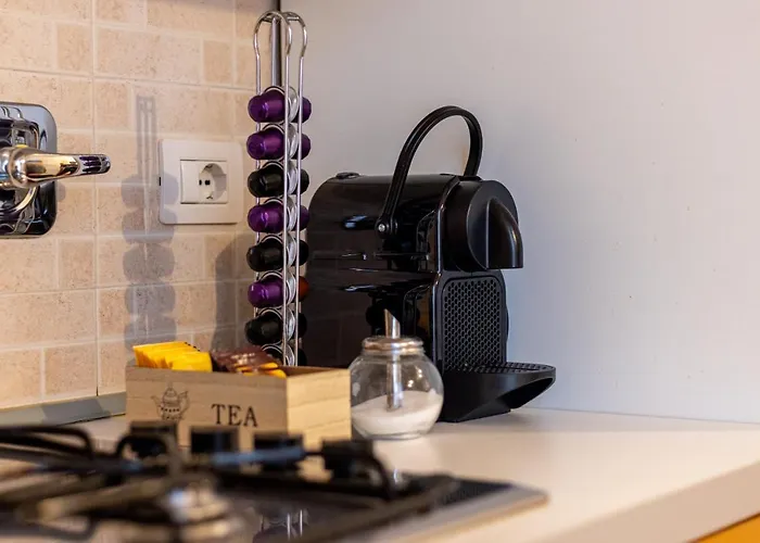 Апартаменты Nice Boboli's Loft *
